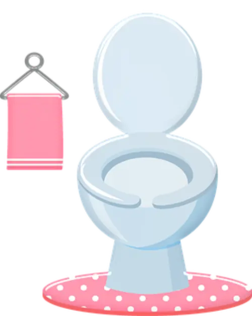 Clogged -Toilet--in-Berkley-Massachusetts-clogged-toilet-berkley-massachusetts.jpg-image